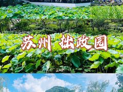 -拙政园