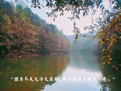 -青龙山国家森林公园