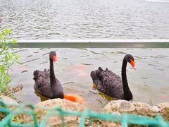 -春晖园度假酒店温泉