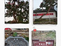 -武汉紫薇都市田园