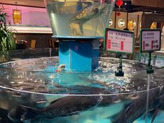 -魏铭鱼头捞饭(晋阳路店)