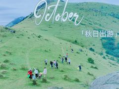-大姆山草场