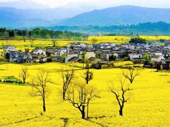 -婺源风景区