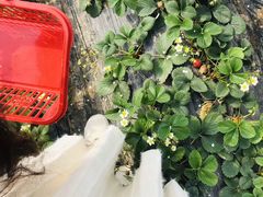 -永利澳门酒店