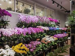 -双季花艺园艺市场(浦东店)
