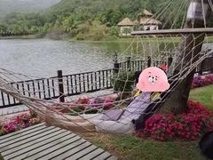 -三亚亚龙湾金棕榈度假酒店