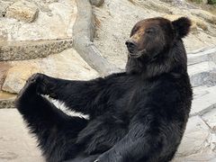 -云南野生动物园