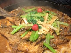 老板恋上鱼-老板恋上鱼(高新万达店)