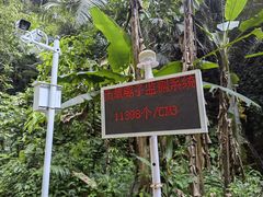 -通灵大峡谷