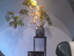 -江南足纪·影院足道·轻奢SPA(笋岗HALO广场店)