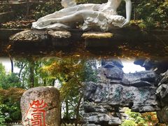 -南山植物园