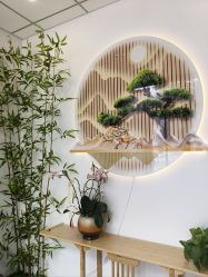 -妙初·产后恢复·瘦身纤体