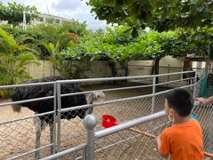 -三亚亚龙湾天域度假酒店