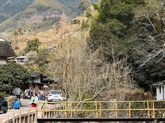 -林坑古村落
