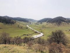 -关山草原