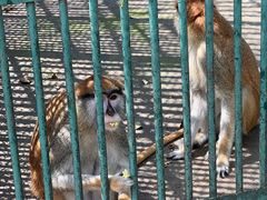 -秦皇岛野生动物园