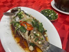 -先鲜鲫鱼粥