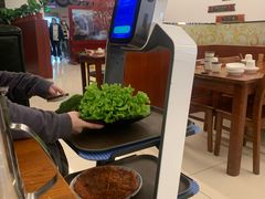 -第二外国语学院-韩国餐厅(朝阳路店)