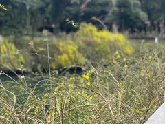 -沙河三洞古桥公园