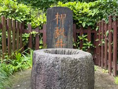 -东山雕花楼