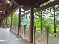 -重庆彩云湖湿地公园