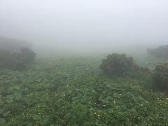 -凤凰山国家森林公园