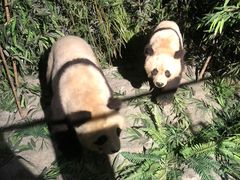 -长江文明馆