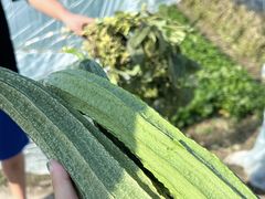 -小乡小镇·传承桐庐土菜·老板亲自烧的菜
