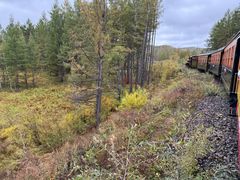 -莫尔道嘎国家森林公园