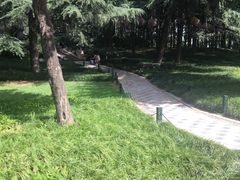 -大雁塔文化休闲景区-北广场