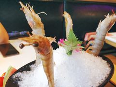 -煲宫猪肚鸡(晶品店)