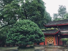 -峨眉山报国寺