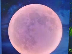 -天津梵高星空艺术馆(天河城旗舰店)