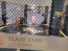 -FLARE STAR FITNESS(复地活力城店)