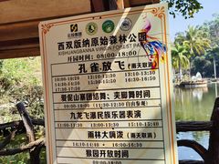 -西双版纳原始森林公园
