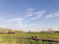 -永定河休闲森林公园