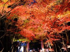 -醍醐寺