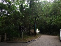-北京凤凰岭