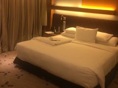 -宿务丽笙酒店