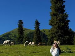 -新疆那拉提国家旅游度假区
