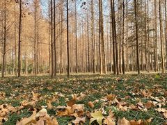 -河南省黄河迎宾馆