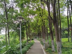 -美兰湖景区
