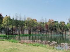 -南京银杏湖乐园