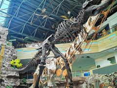 -安徽省地质博物馆