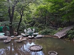 -红崖峡谷景区