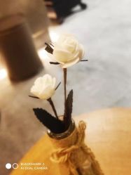 -C-18 SALON