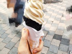豆乳冰淇淋-仙境豆夫(步行街旗舰店)