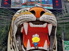 -栾川竹海野生动物园