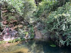 -王顺山国家森林公园