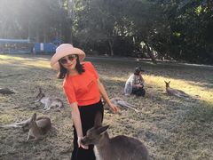 -可伦宾野生动物保护区